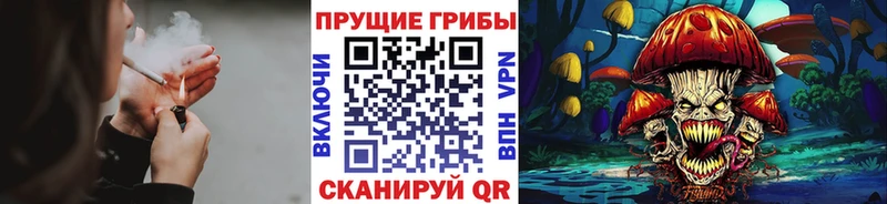 Галлюциногенные грибы Cubensis  где купить наркоту  Приозерск 