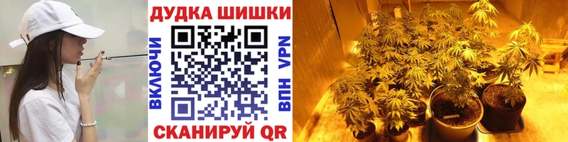 МАРИХУАНА конопля Приозерск