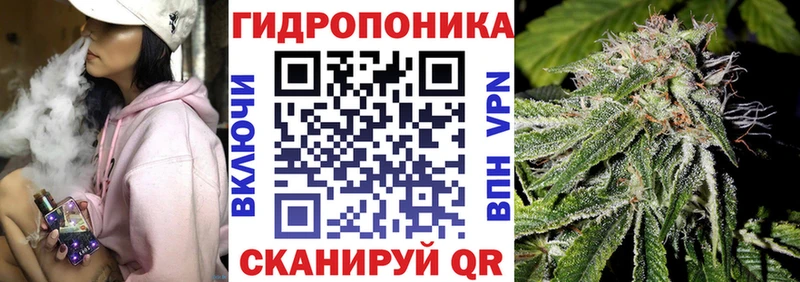 мега как зайти  где купить наркоту  Приозерск  Бошки Шишки SATIVA & INDICA 